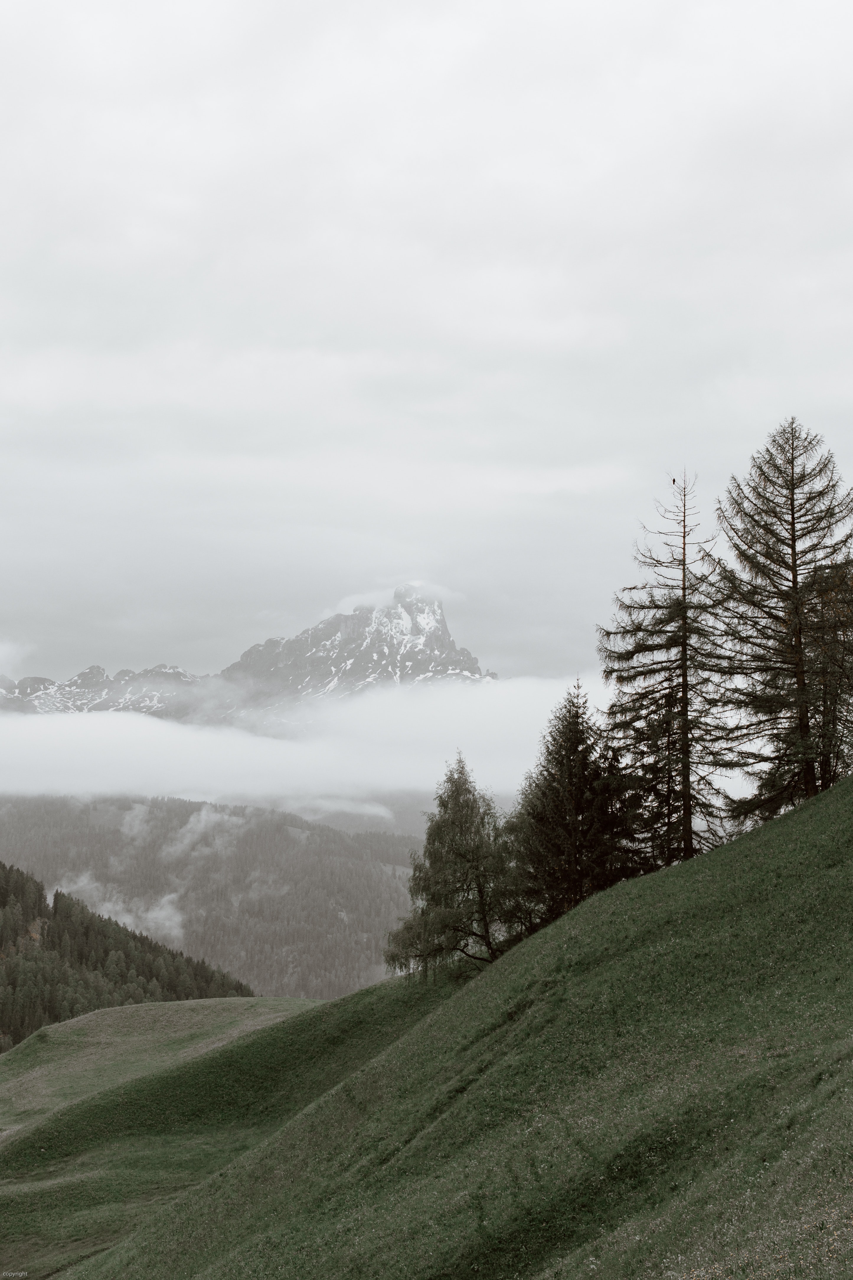 3D skenování a zobrazení dat